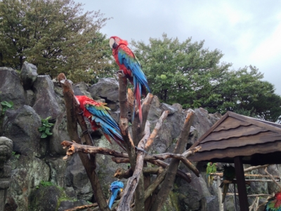 f:id:takerunba:20131022103659j:image f:id:takerunba:20131022103659j:image
