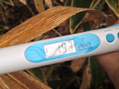 f:id:takerunba:20131112111736j:image:w300