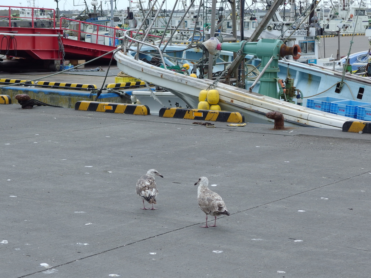 f:id:takerunba:20140913002810j:image:w400 f:id:takerunba:20140913002810j:image:w400