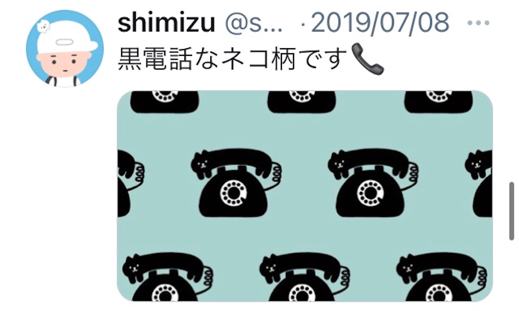 f:id:takeshi10:20210110220705j:image