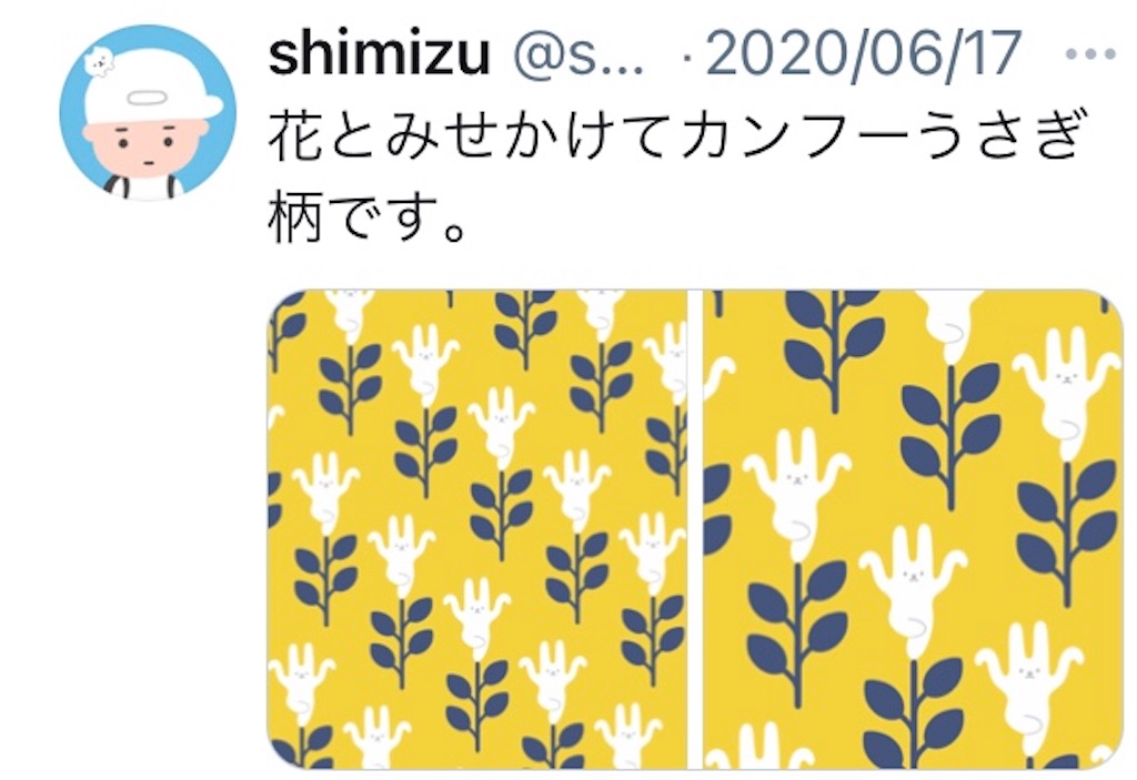 f:id:takeshi10:20210110220738j:image