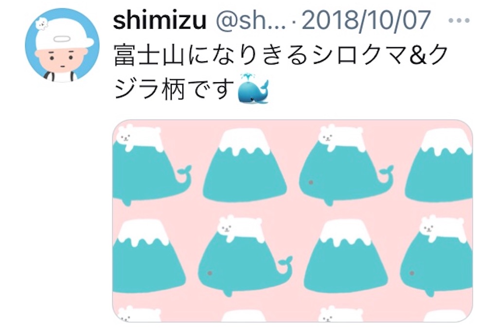 f:id:takeshi10:20210110224405j:image