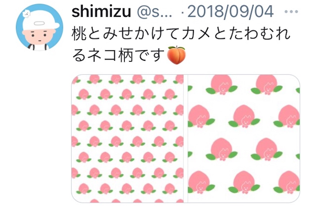 f:id:takeshi10:20210110224751j:image