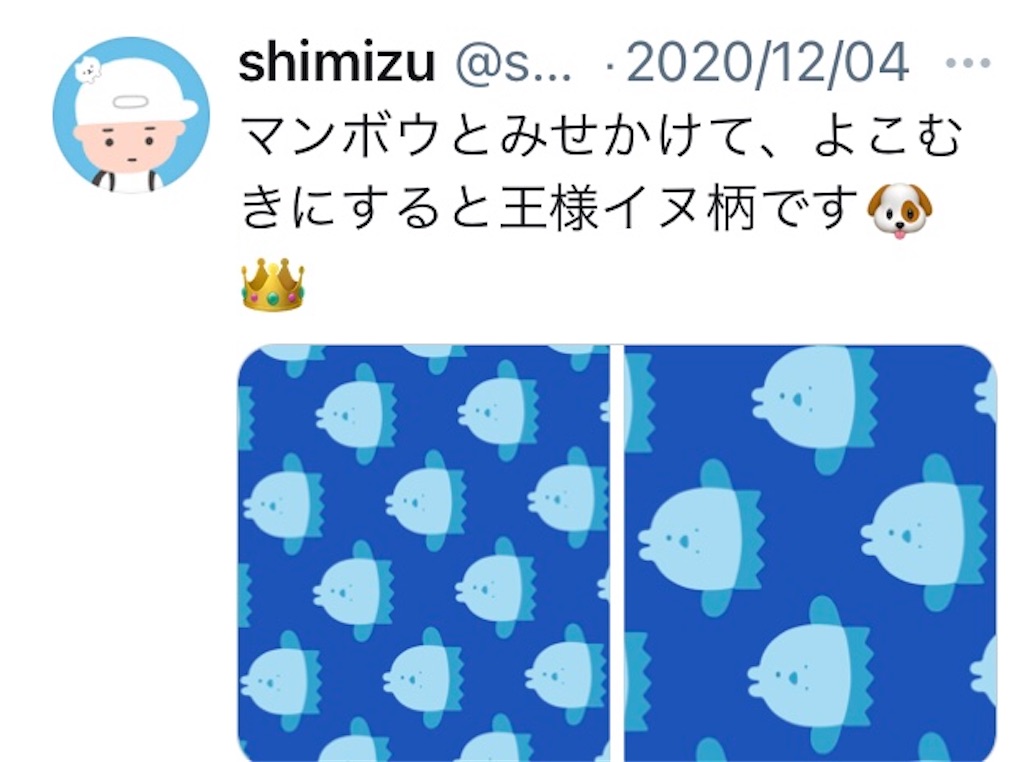 f:id:takeshi10:20210110224854j:image