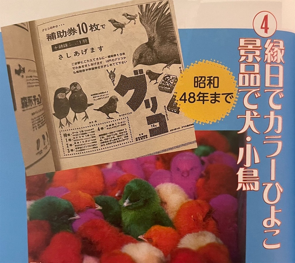 f:id:takeshi10:20251030133810j:image f:id:takeshi10:20251030133810j:image