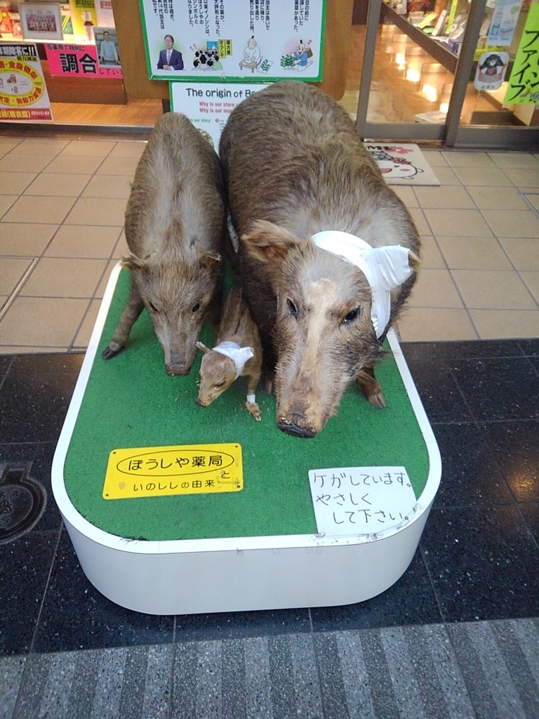 ２０１９年の干支の猪