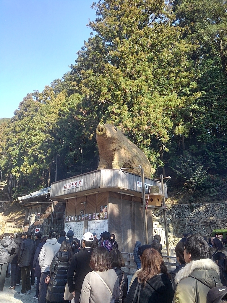 ２０１９年の干支のいのしし