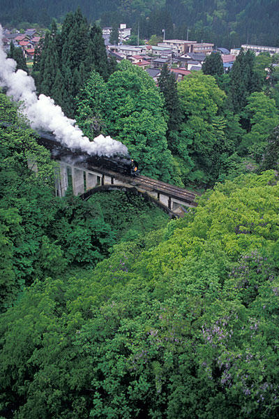 070520SL会津只見新緑号会津宮下藤の花