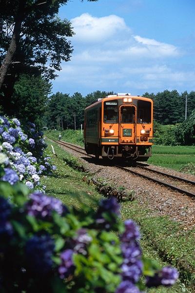 080804紫陽花とメロス号
