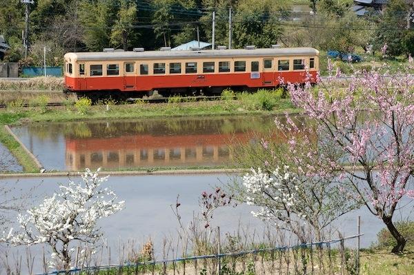 090410 田の水面と花と気動車