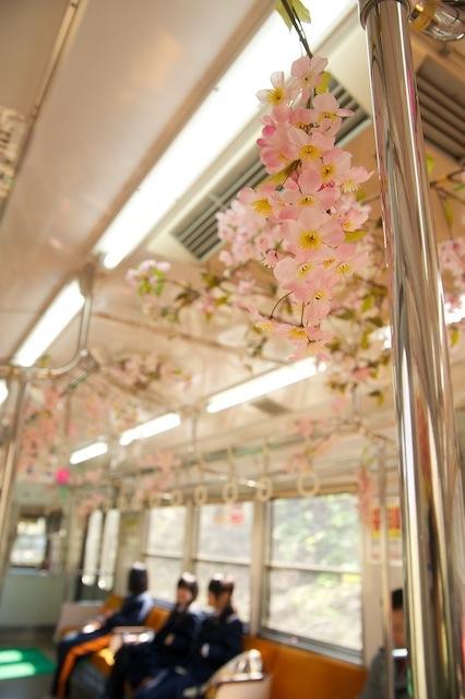 100502 十鉄電車車内の桜装飾