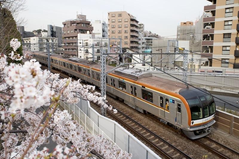 130326 東白楽の桜とメトロ10000