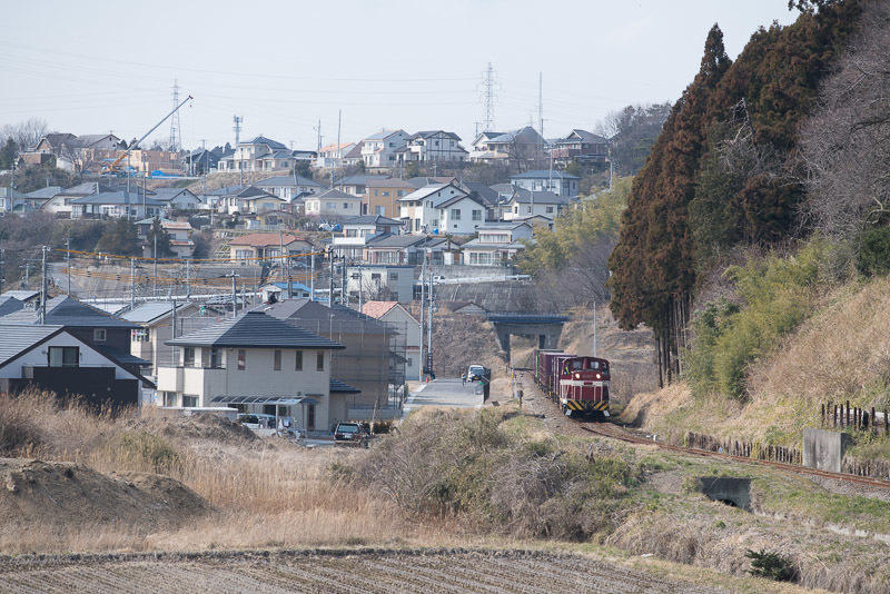 150314 泉の住宅地脇を走る貨物列車