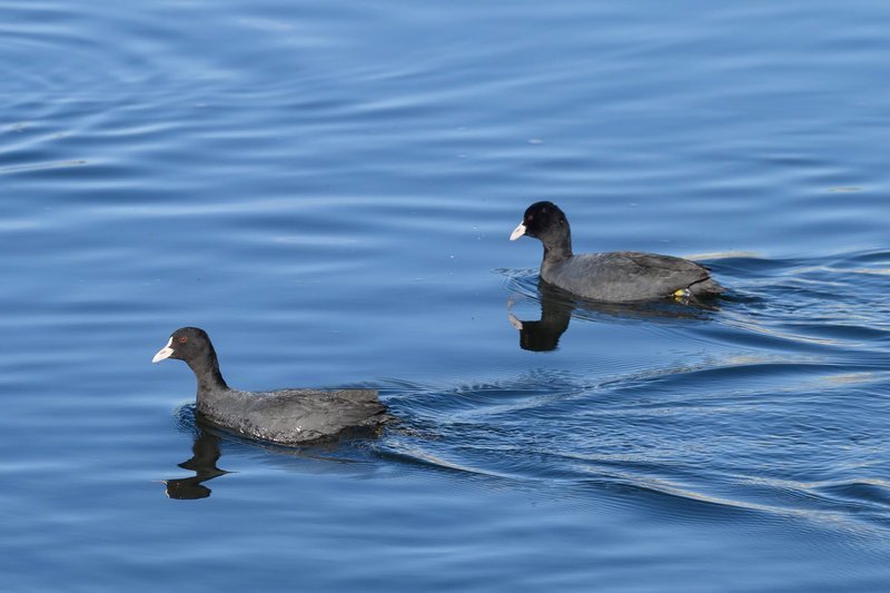 f:id:takeshis_yok:20220122005953j:plain