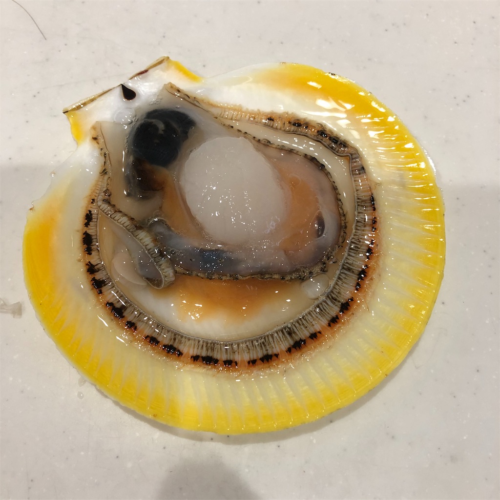 うおけんのブログ うおけんのブログ