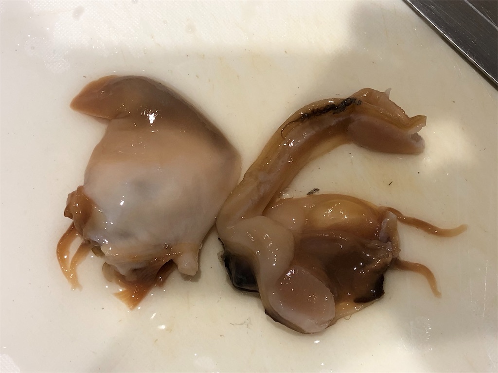 f:id:takesisama:20191222112614j:image f:id:takesisama:20191222112614j:image