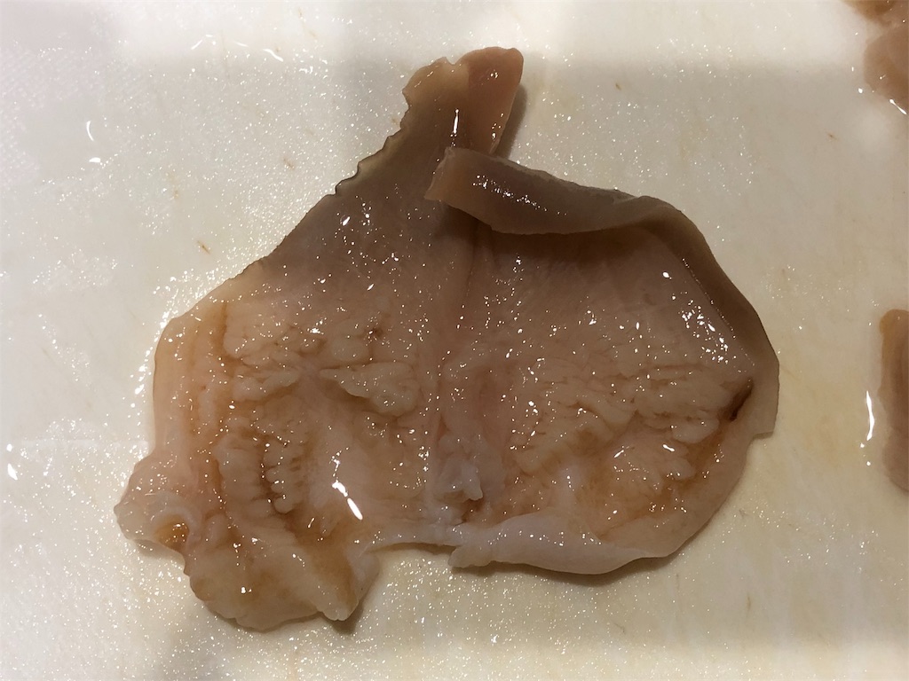 f:id:takesisama:20191222112632j:image f:id:takesisama:20191222112632j:image