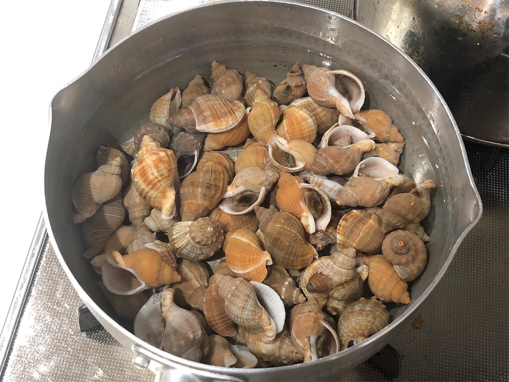 f:id:takesisama:20191222112814j:image f:id:takesisama:20191222112814j:image