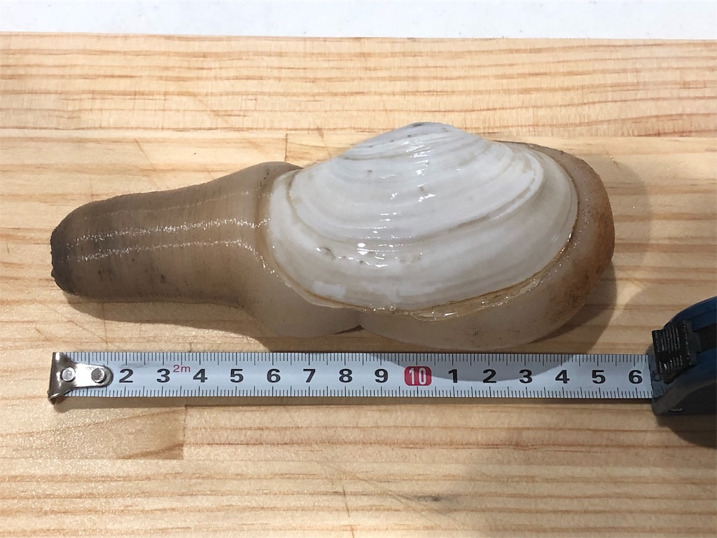 f:id:takesisama:20191222112945j:image f:id:takesisama:20191222112945j:image