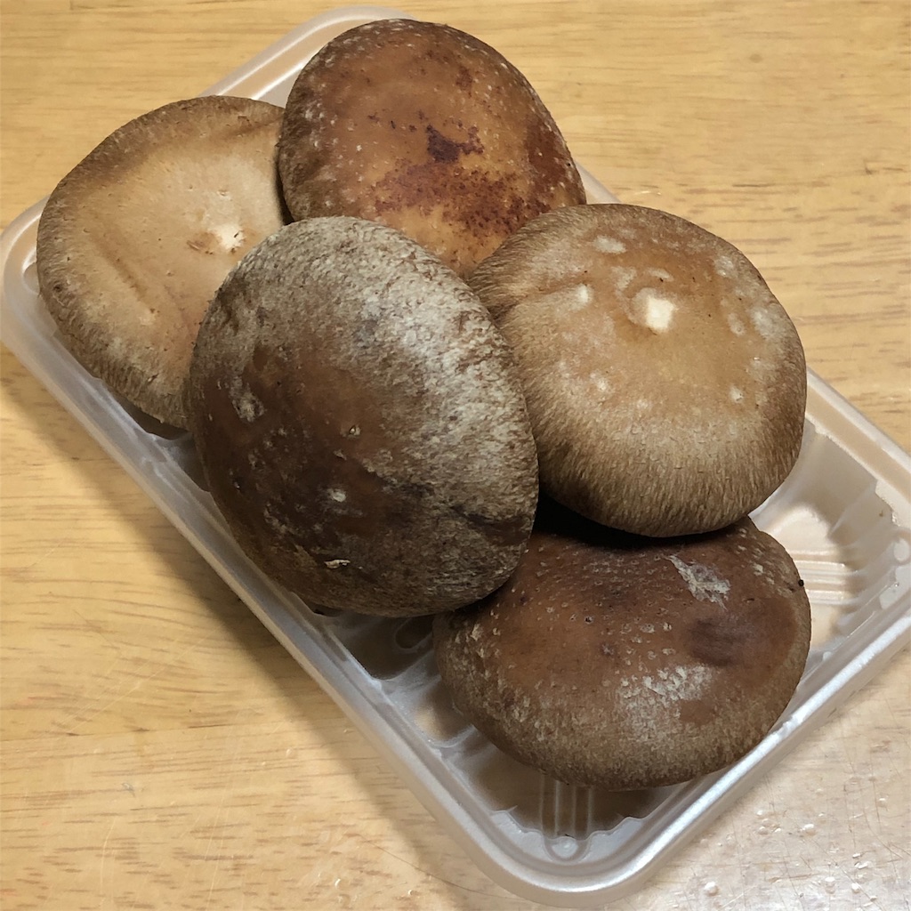 f:id:takesisama:20191228141723j:image f:id:takesisama:20191228141723j:image