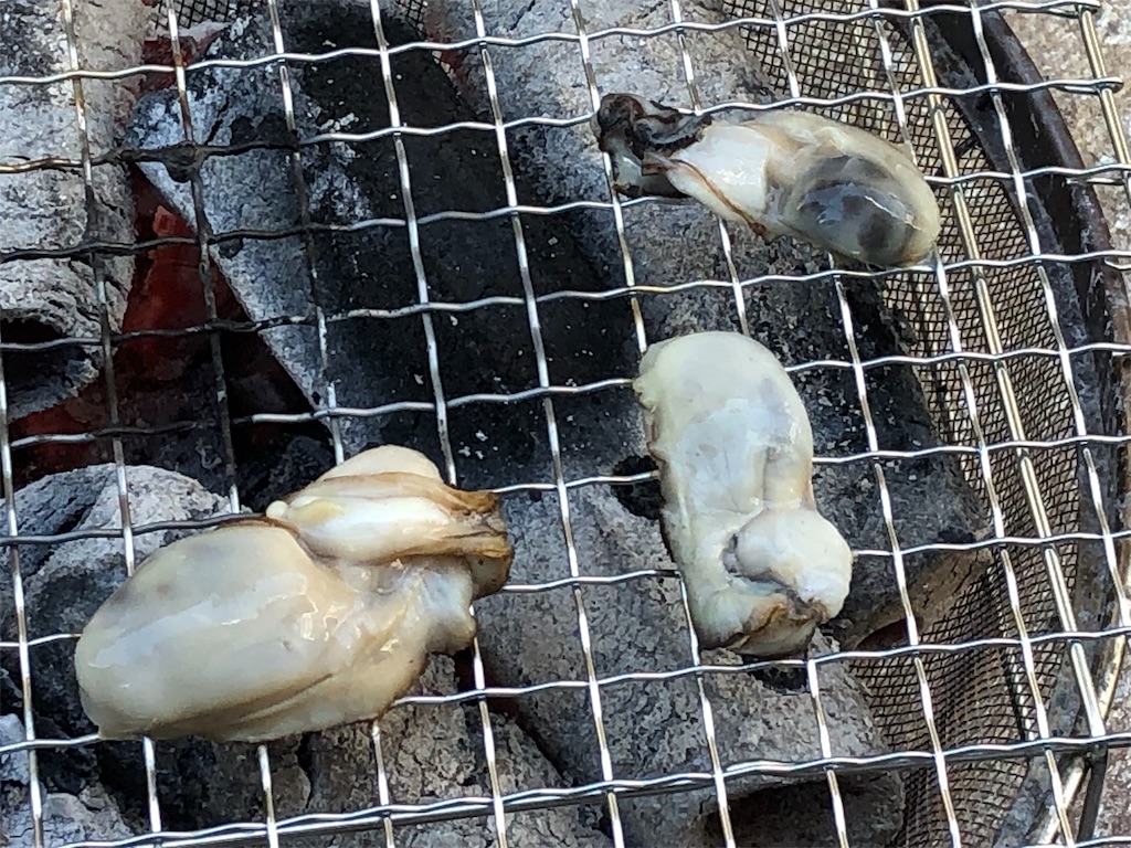 f:id:takesisama:20191229113300j:image f:id:takesisama:20191229113300j:image