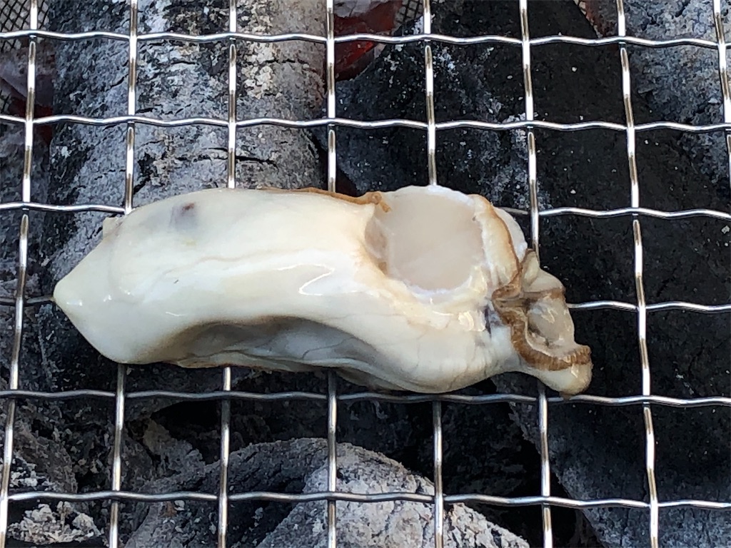 f:id:takesisama:20191229113322j:image f:id:takesisama:20191229113322j:image