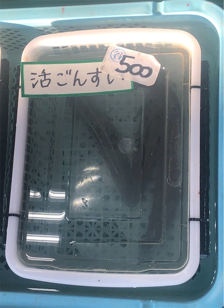 f:id:takesisama:20200120173443j:image f:id:takesisama:20200120173443j:image