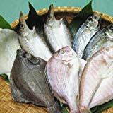 クール便 国安青果 鮮度抜群CAS冷凍品天然魚 宇和海朝獲れ鮮魚の「一夜干し8枚セット」(真鯛1枚、メイタカレイ1枚、アマダイ1枚、カマス2枚、釣アジ2枚、スミイカ1枚) クール便 国安青果 鮮度抜群CAS冷凍品天然魚 宇和海朝獲れ鮮魚の「一夜干し8枚セット」(真鯛1枚、メイタカレイ1枚、アマダイ1枚、カマス2枚、釣アジ2枚、スミイカ1枚)