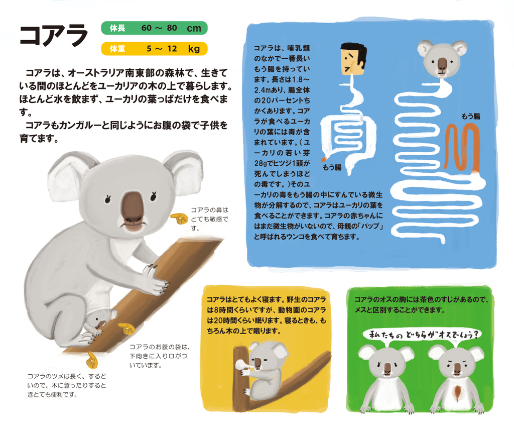 f:id:taketakechop:20190110163257j:plain