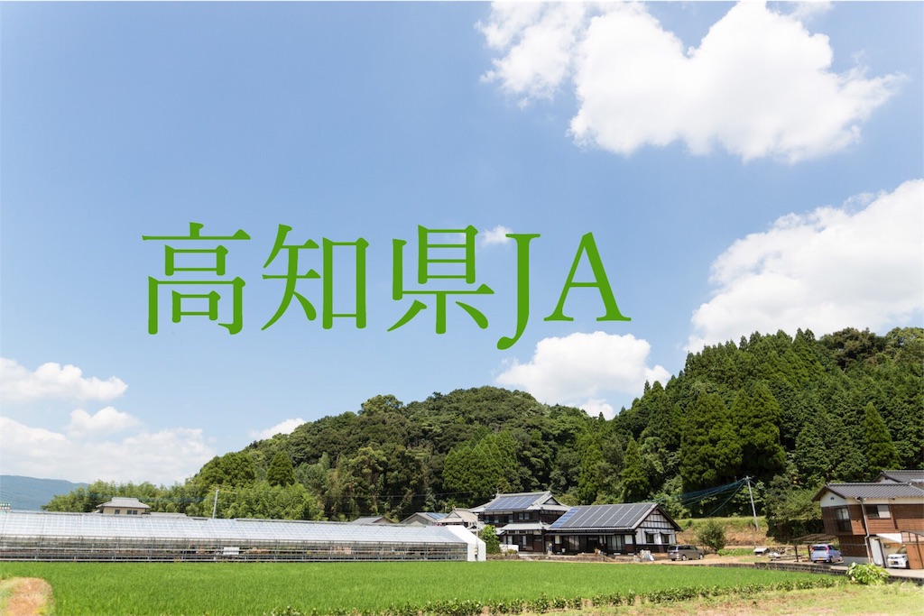 f:id:taketakeoda:20190313132455j:image
