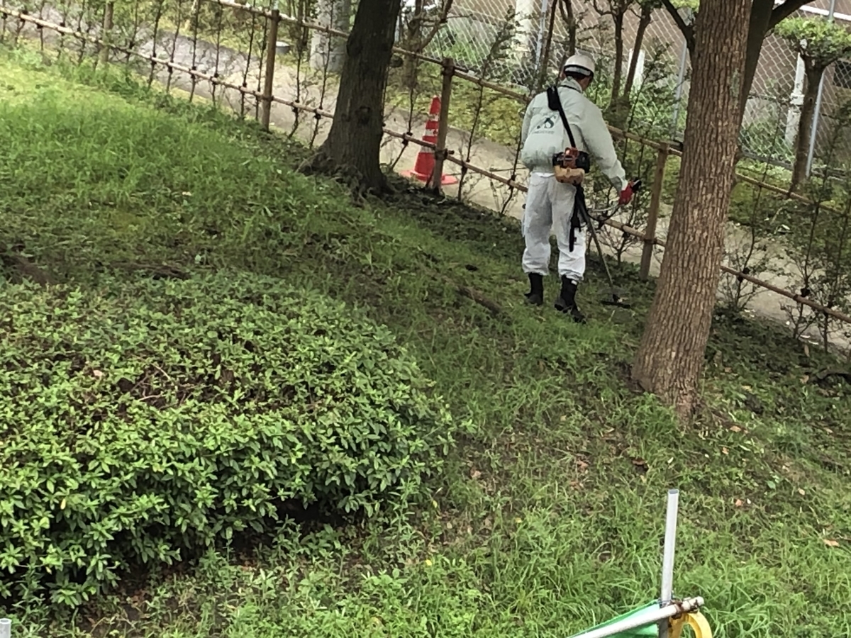 f:id:takeuma02:20200731091708j:plain