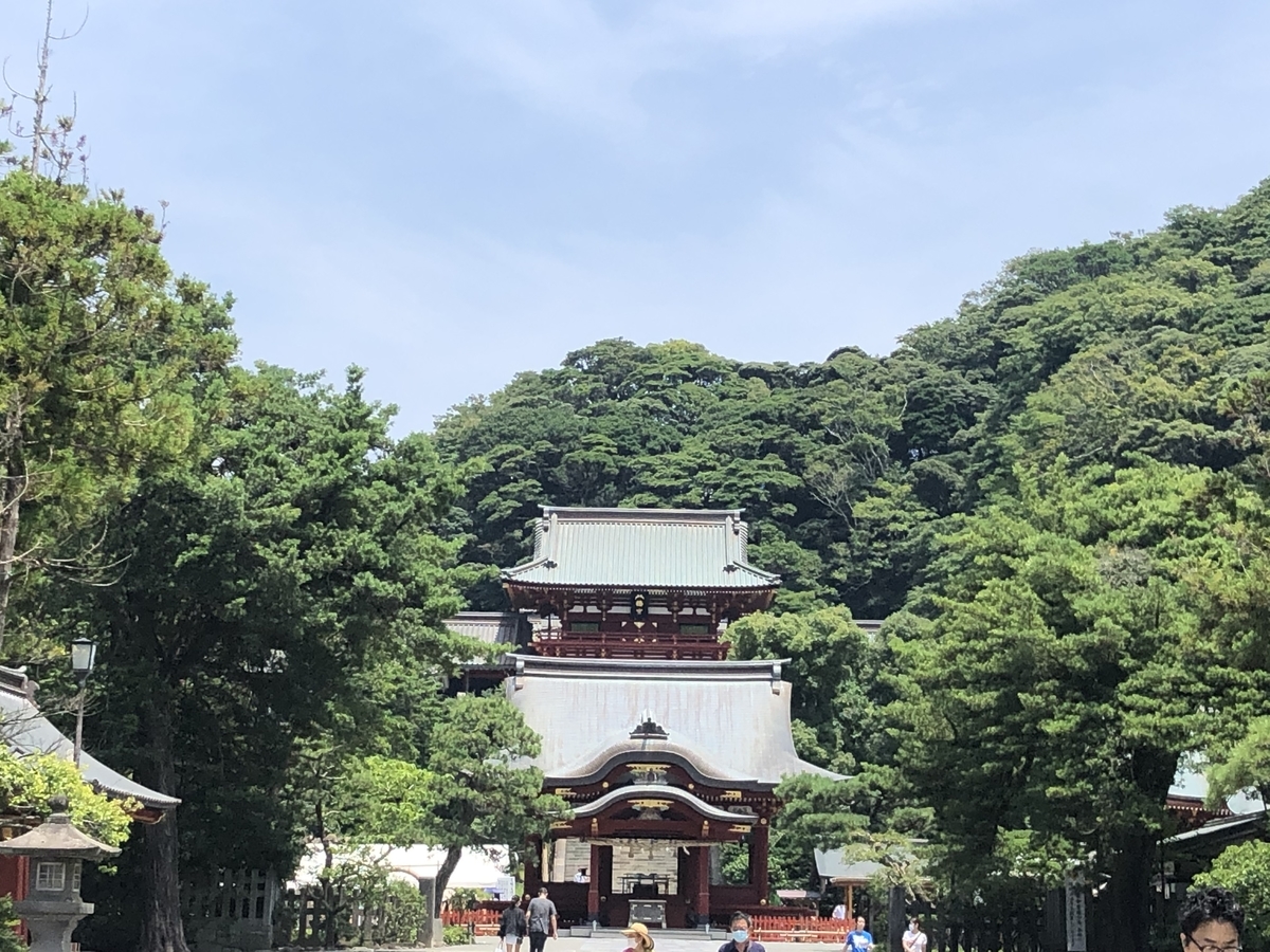f:id:takeuma02:20200826144854j:plain