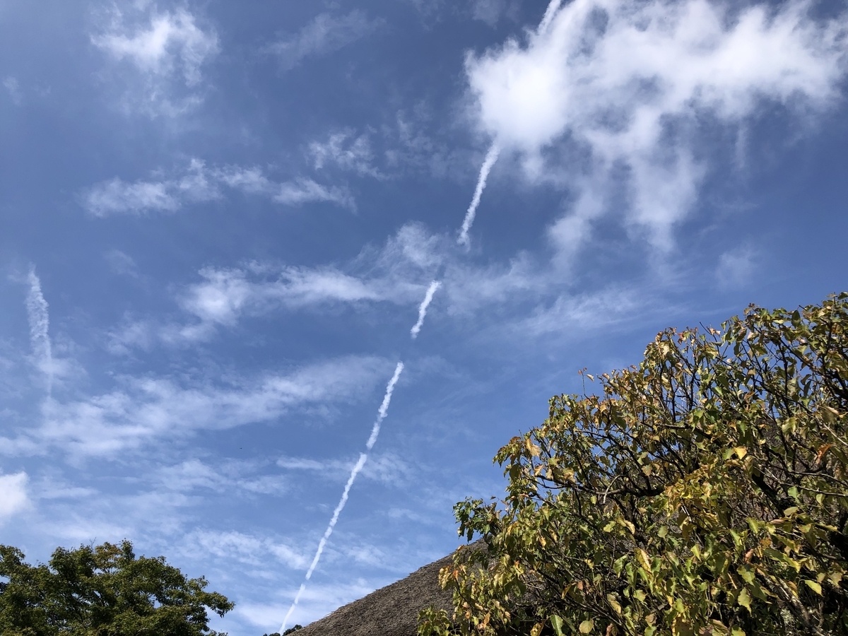 f:id:takeuma02:20201004170459j:plain