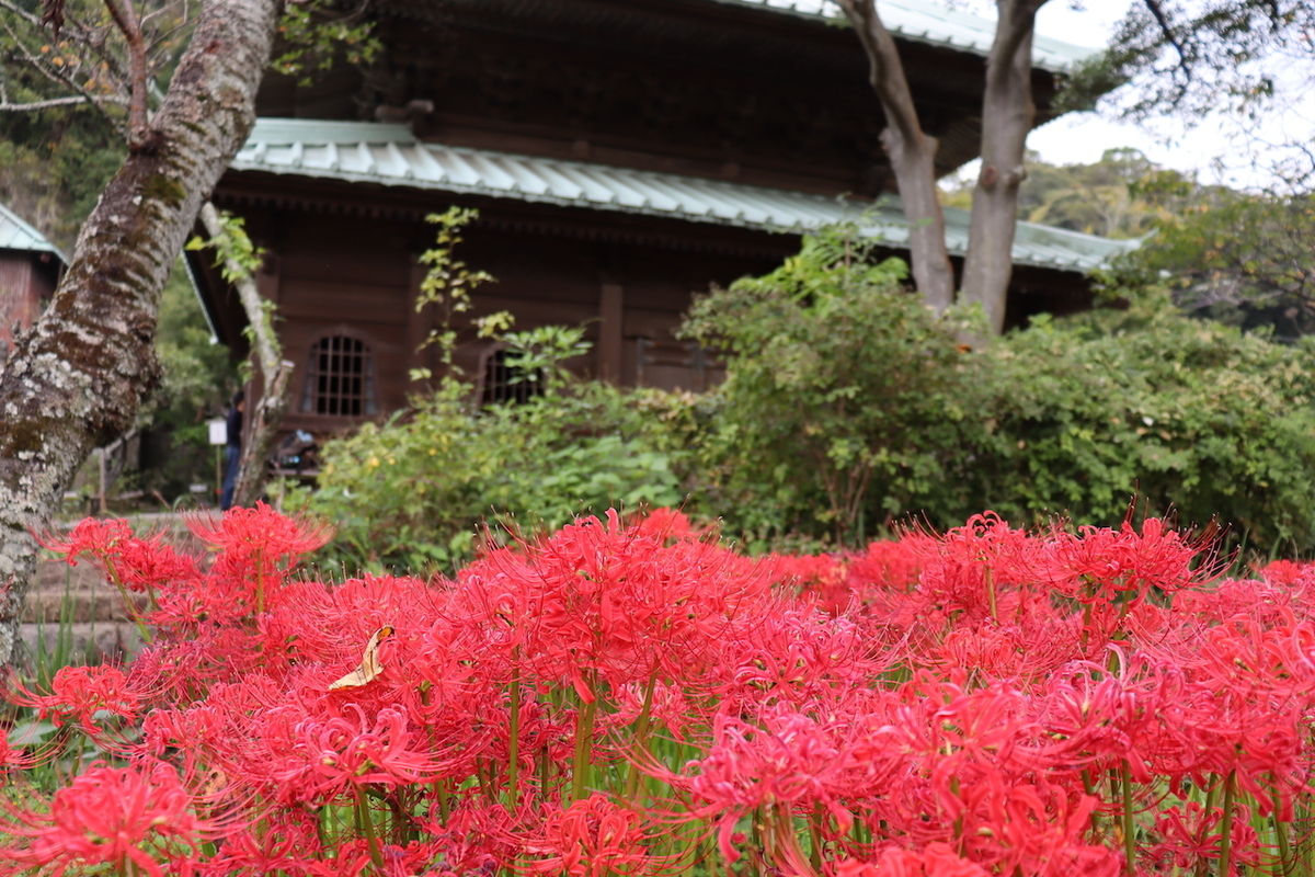f:id:takeuma02:20201008150312j:plain f:id:takeuma02:20201008150312j:plain