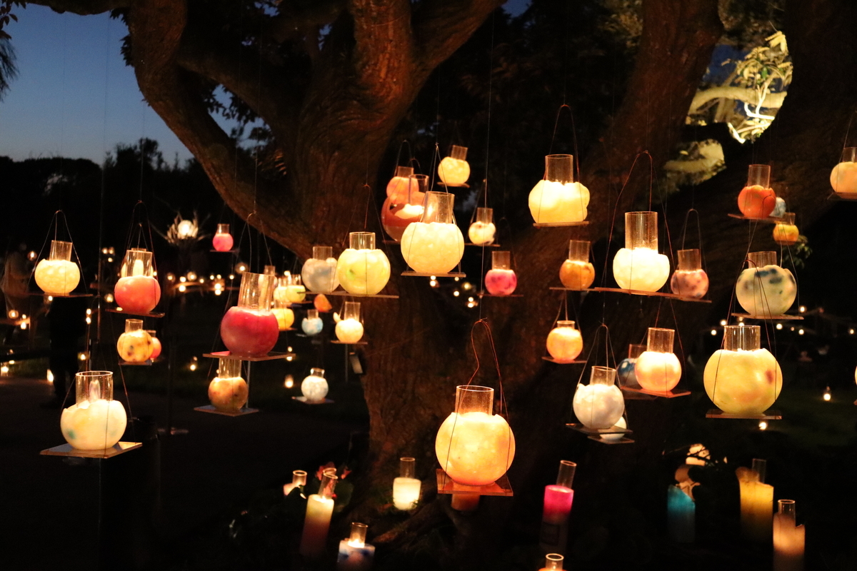f:id:takeuma02:20201021145437j:plain