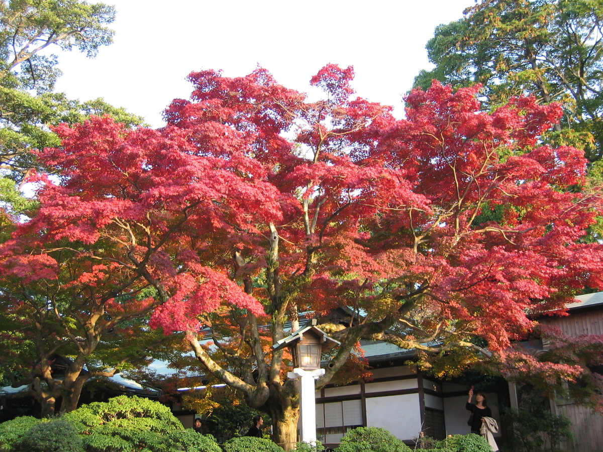 f:id:takeuma02:20201022145926j:plain