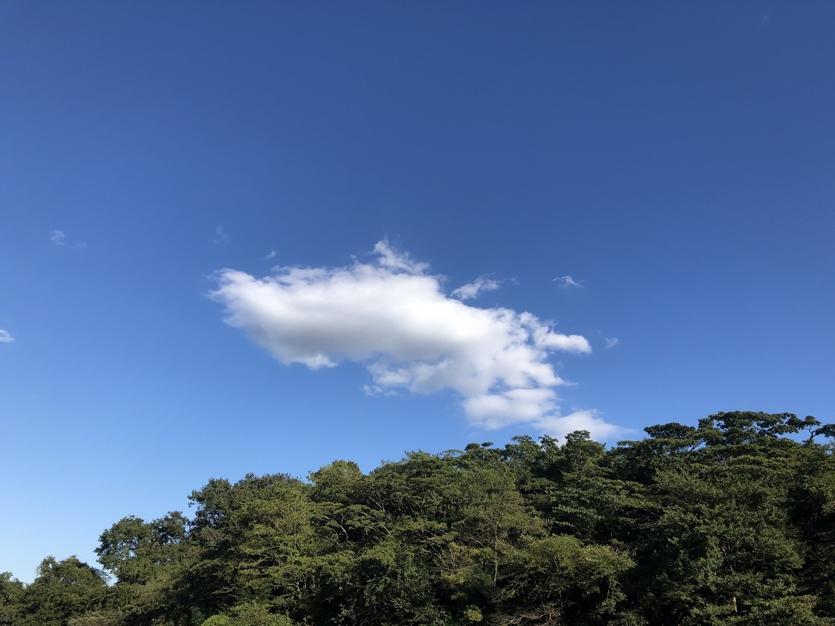 f:id:takeuma02:20201024172655j:plain f:id:takeuma02:20201024172655j:plain