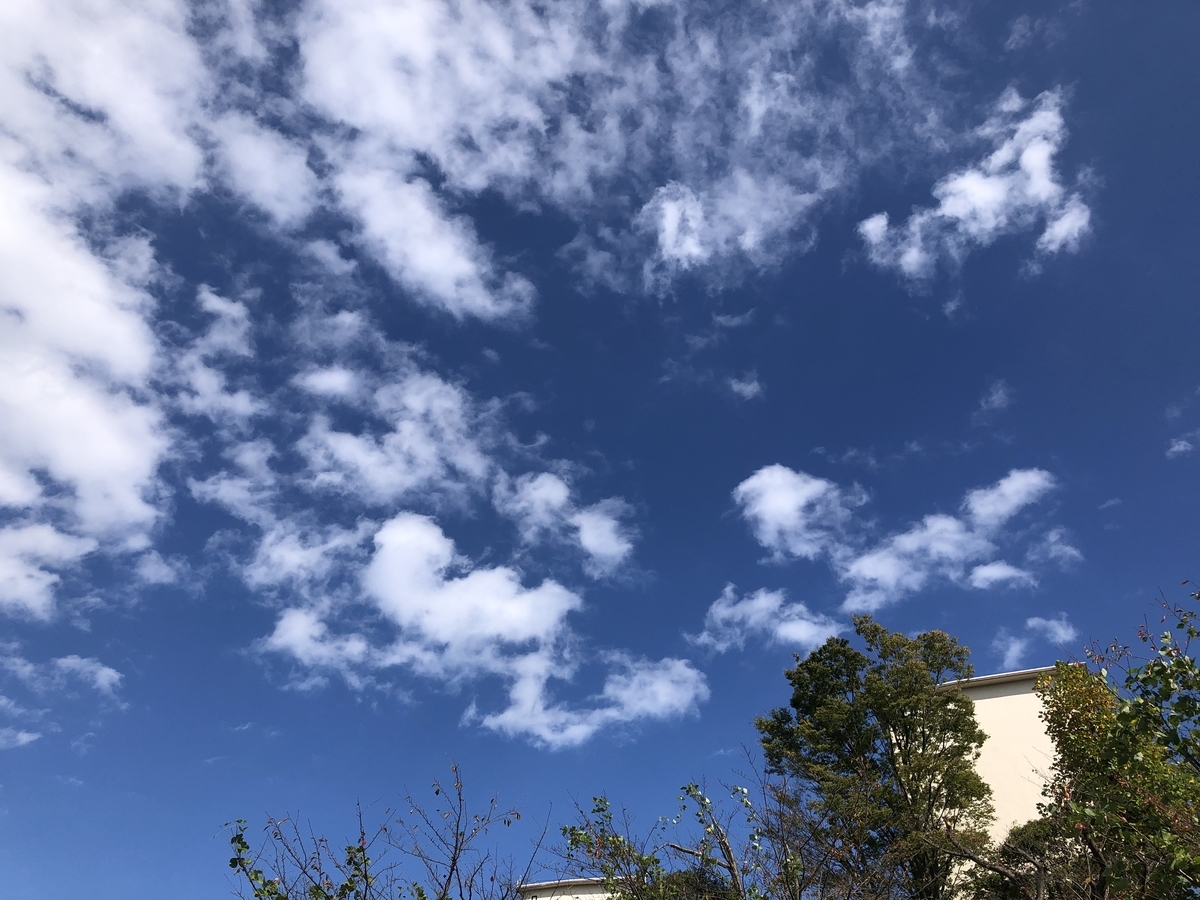 f:id:takeuma02:20201025101316j:plain f:id:takeuma02:20201025101316j:plain