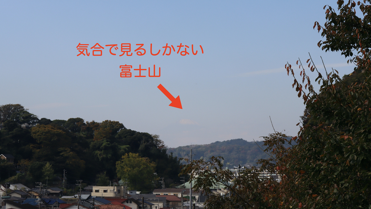 f:id:takeuma02:20201111095812j:plain f:id:takeuma02:20201111095812j:plain