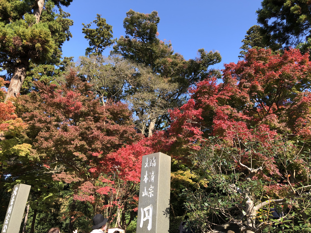 f:id:takeuma02:20201116143432j:plain f:id:takeuma02:20201116143432j:plain