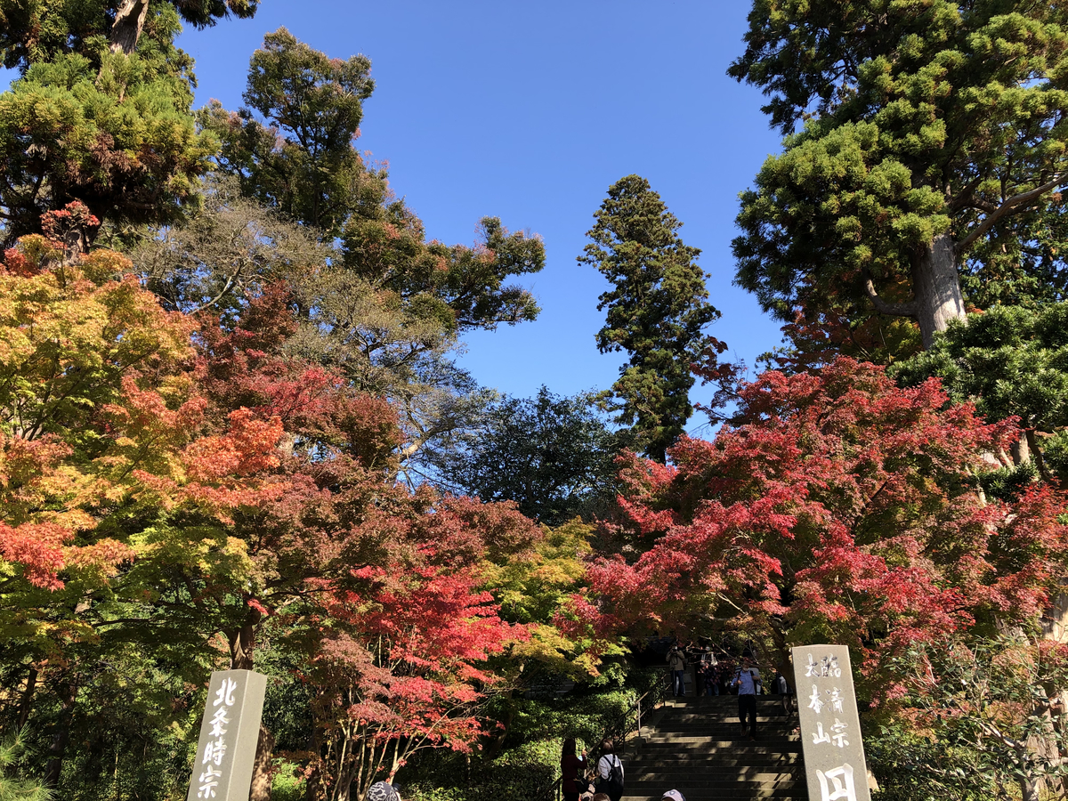 f:id:takeuma02:20201116143954j:plain f:id:takeuma02:20201116143954j:plain
