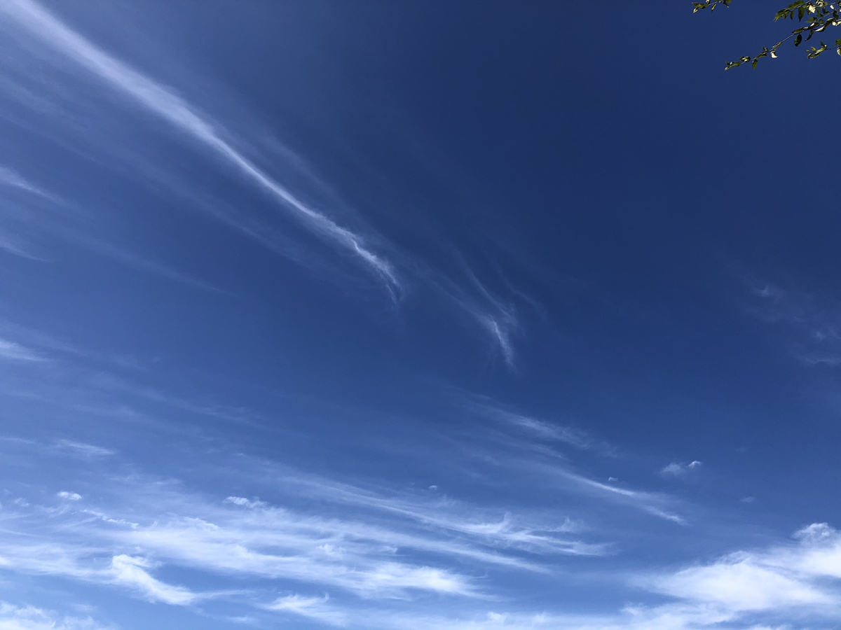 f:id:takeuma02:20201127081739j:plain