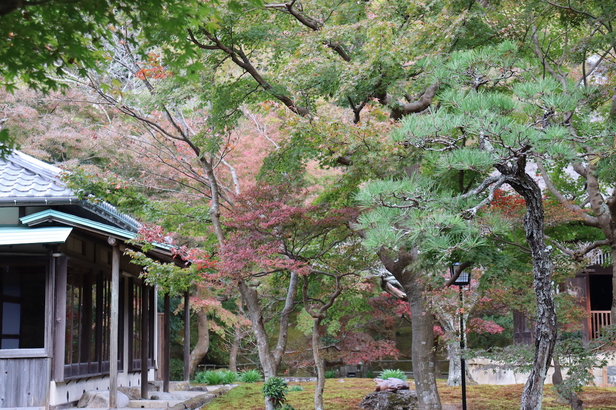 f:id:takeuma02:20201130150251j:plain
