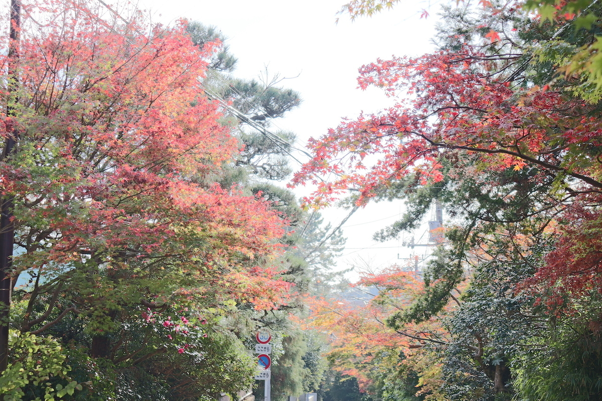 f:id:takeuma02:20201130150743j:plain