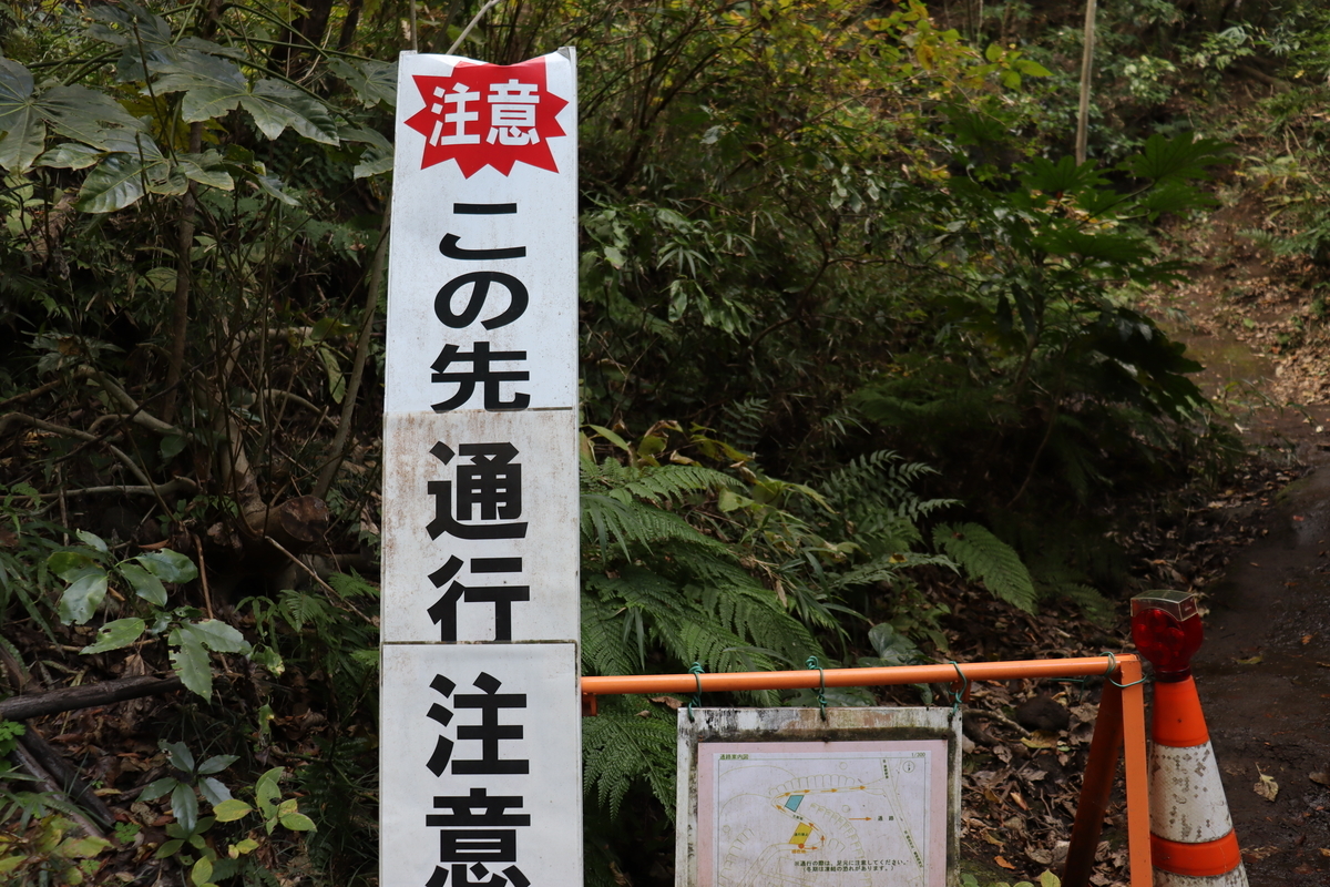 f:id:takeuma02:20201130151338j:plain
