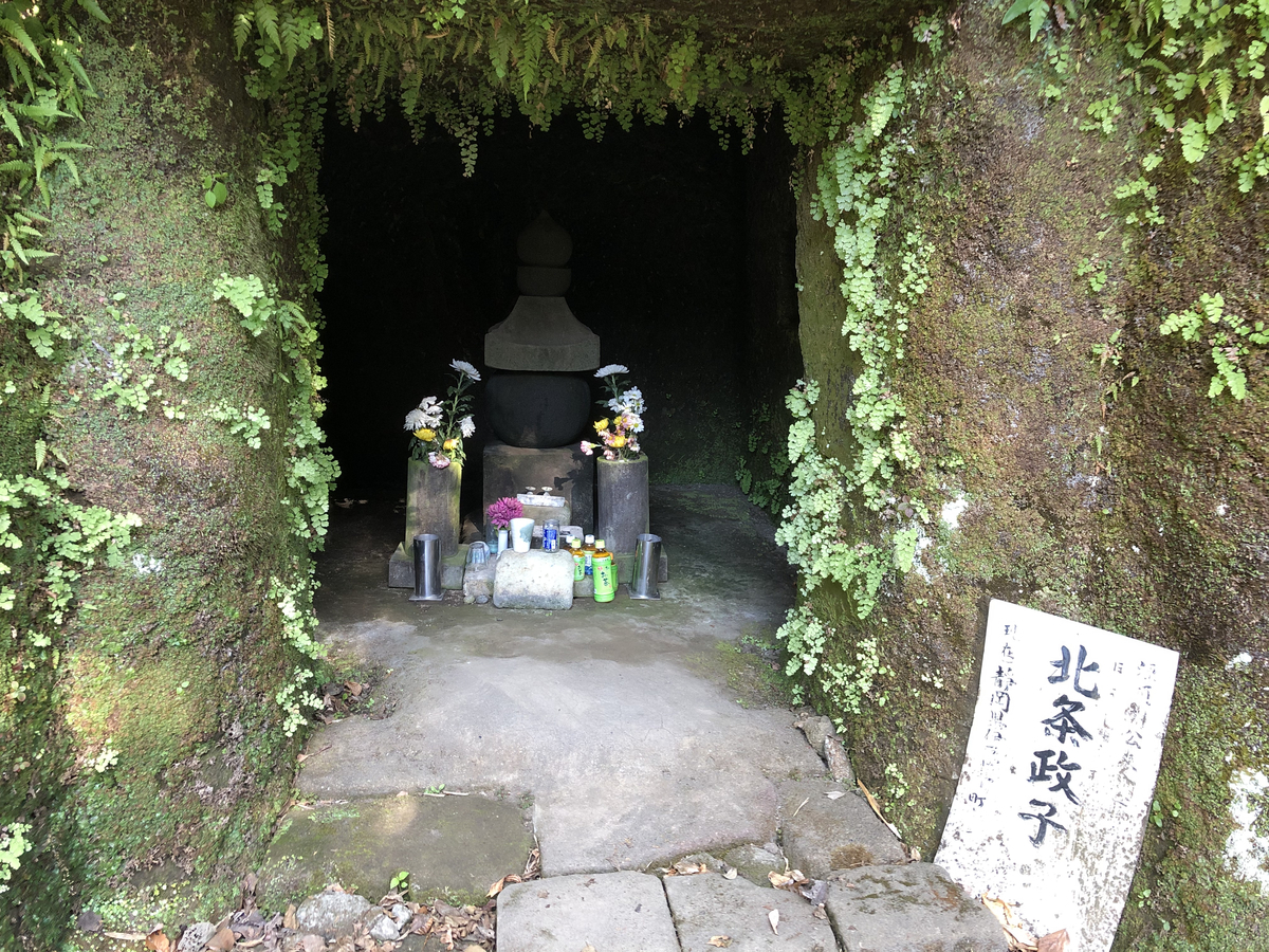 f:id:takeuma02:20201202112143j:plain