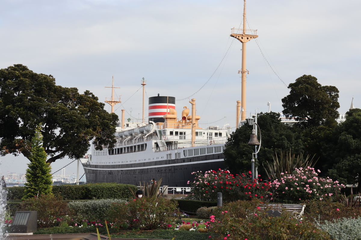 f:id:takeuma02:20201212153614j:plain