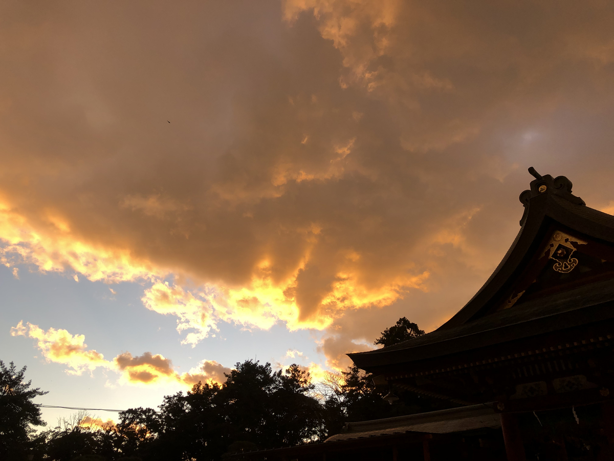 f:id:takeuma02:20210101164250j:plain