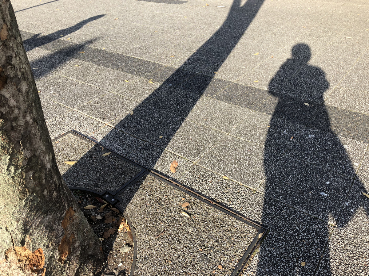 f:id:takeuma02:20210103134102j:plain