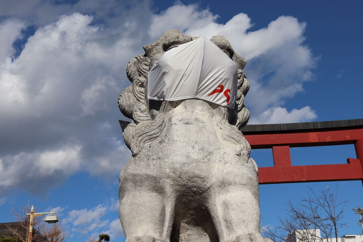 f:id:takeuma02:20210121104239j:plain